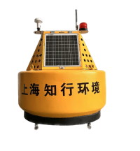 Buoy-type online monitoring system